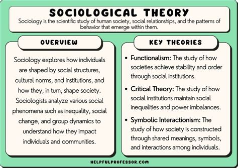 The Theory and the Sociology of Film 